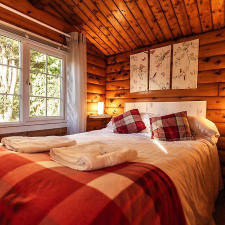 Welsh Retreat 2 Bedroom Log Cabin - Seren Property Trawsfynydd Exterior photo