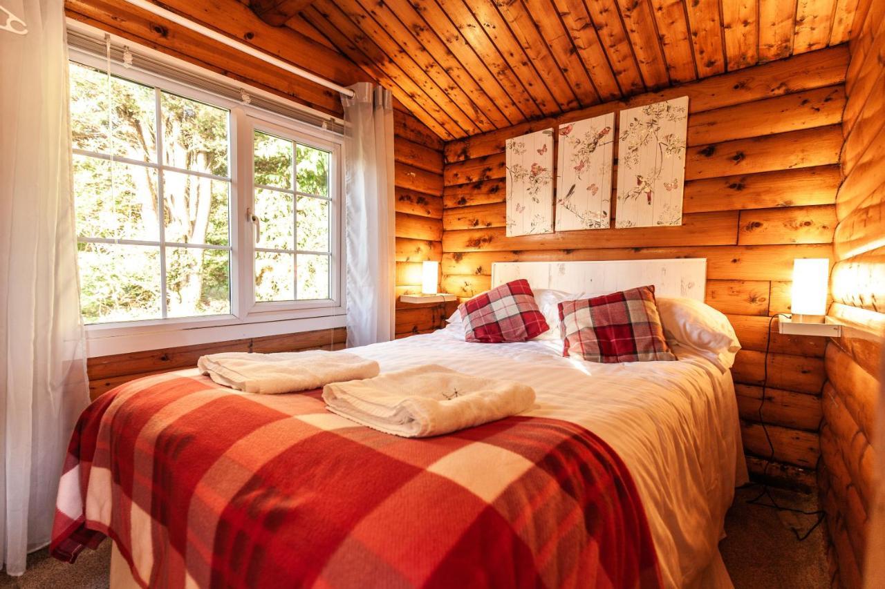 Welsh Retreat 2 Bedroom Log Cabin - Seren Property Trawsfynydd Exterior photo