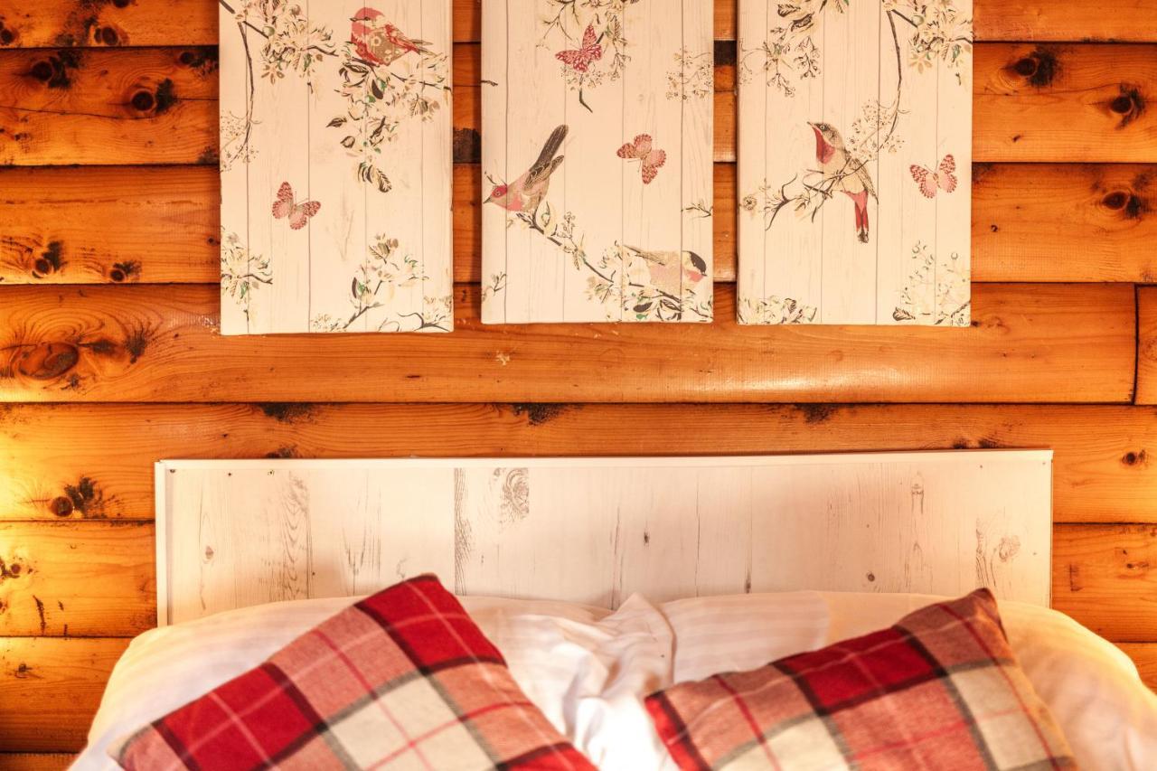 Welsh Retreat 2 Bedroom Log Cabin - Seren Property Trawsfynydd Exterior photo