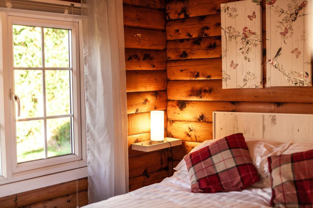 Welsh Retreat 2 Bedroom Log Cabin - Seren Property Trawsfynydd Exterior photo